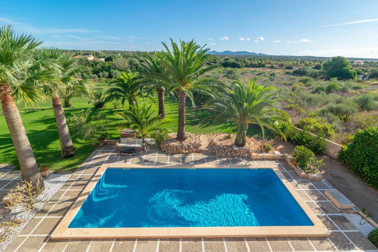 Villa Finca Palmera
