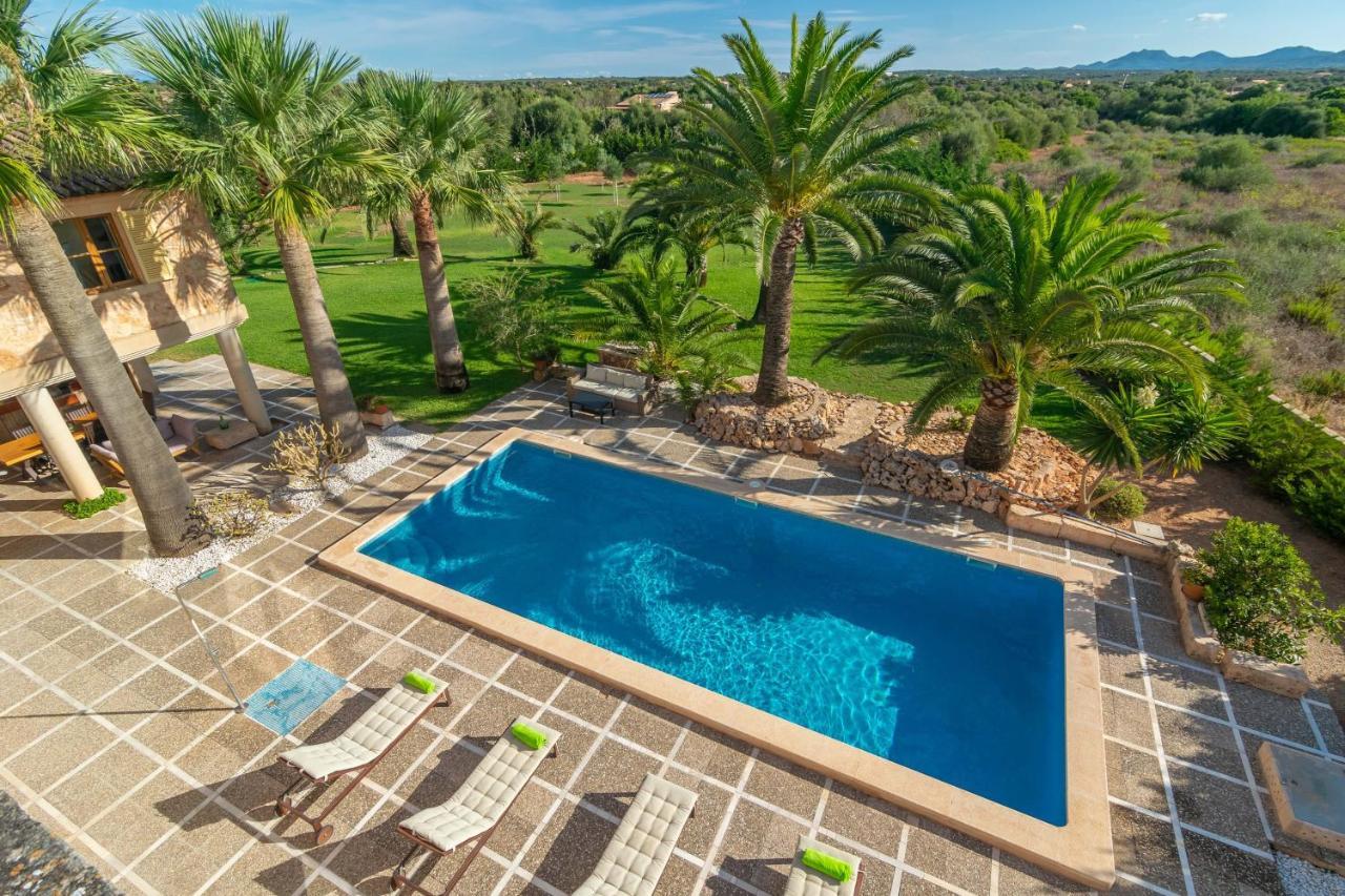 Finca Palmera * Las Salinas