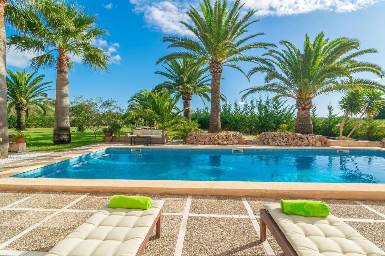 Villa Finca Palmera
