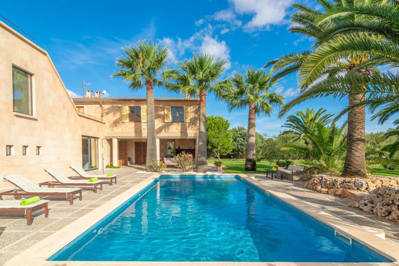 Villa Finca Palmera