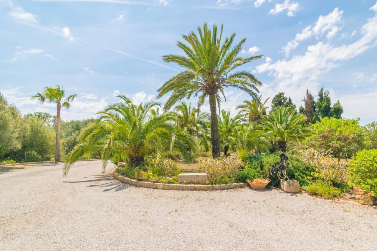 Finca Palmera Villa *