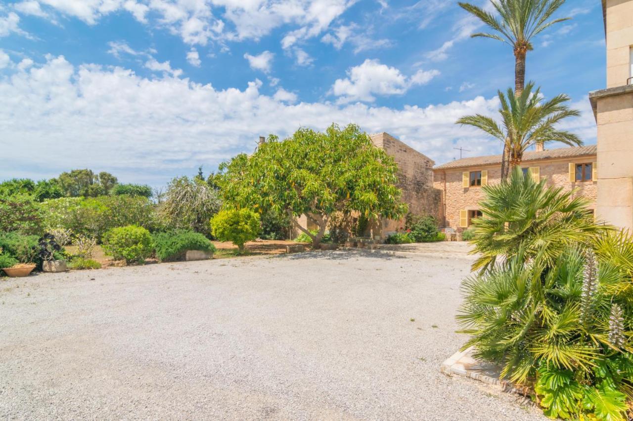 Villa Finca Palmera