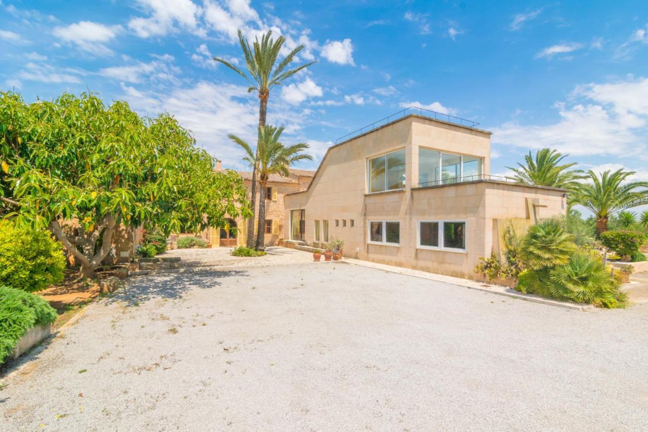 Villa Finca Palmera Ses Salines (Mallorca)