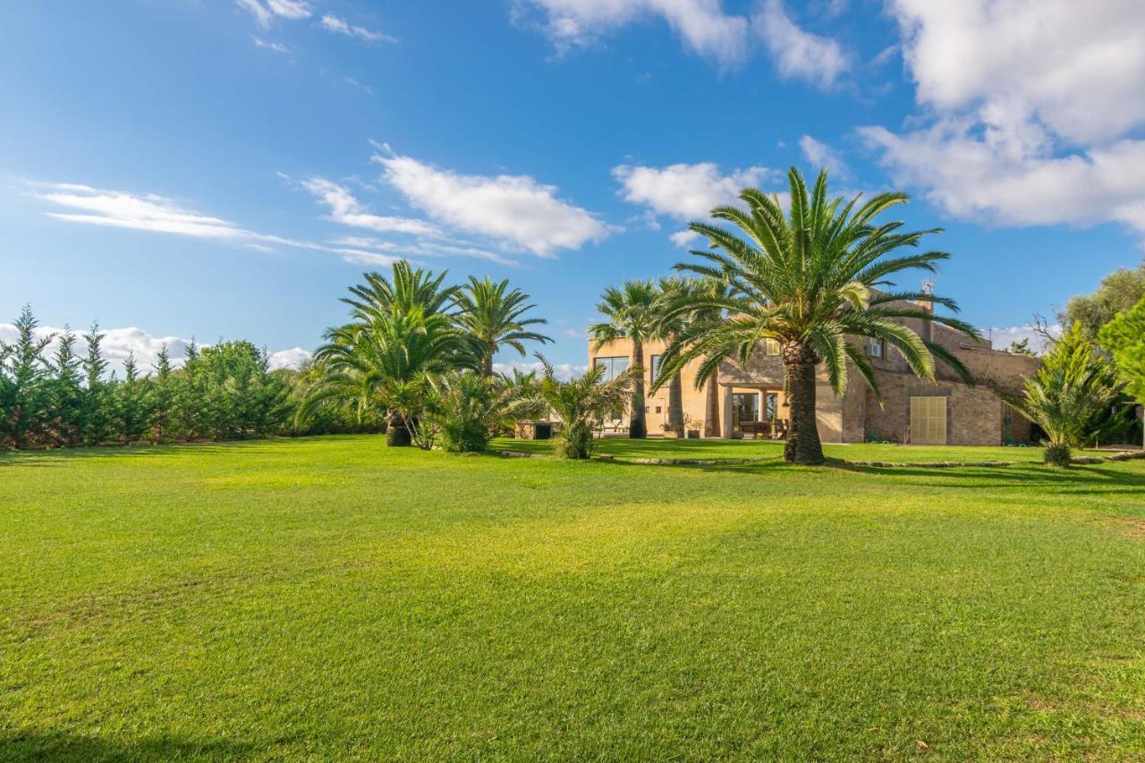 Finca Palmera Ses Salines (Mallorca)