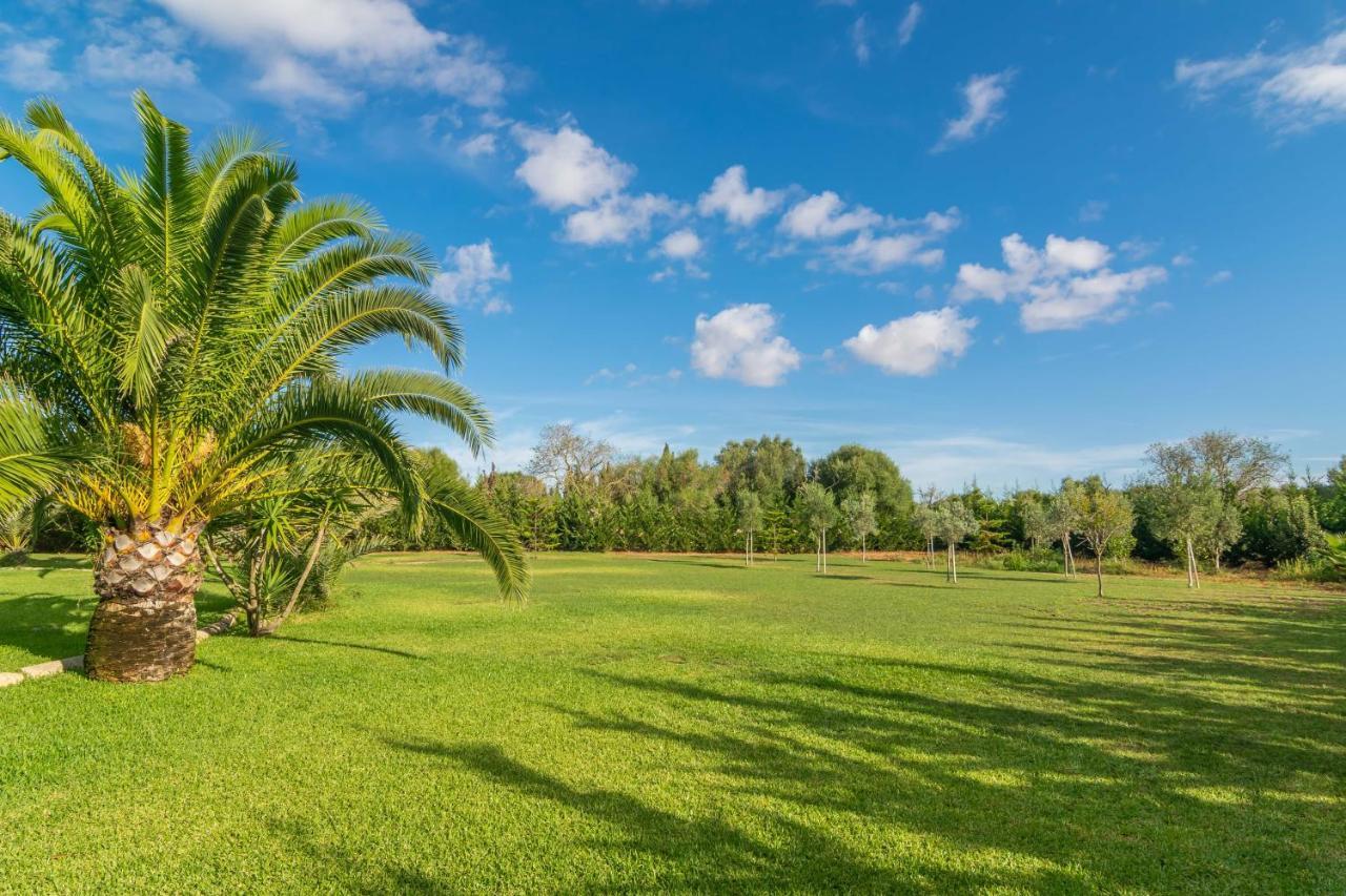 Finca Palmera Villa