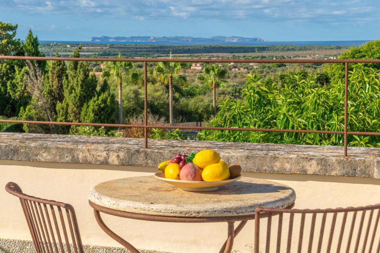 Villa Finca Palmera Las Salinas
