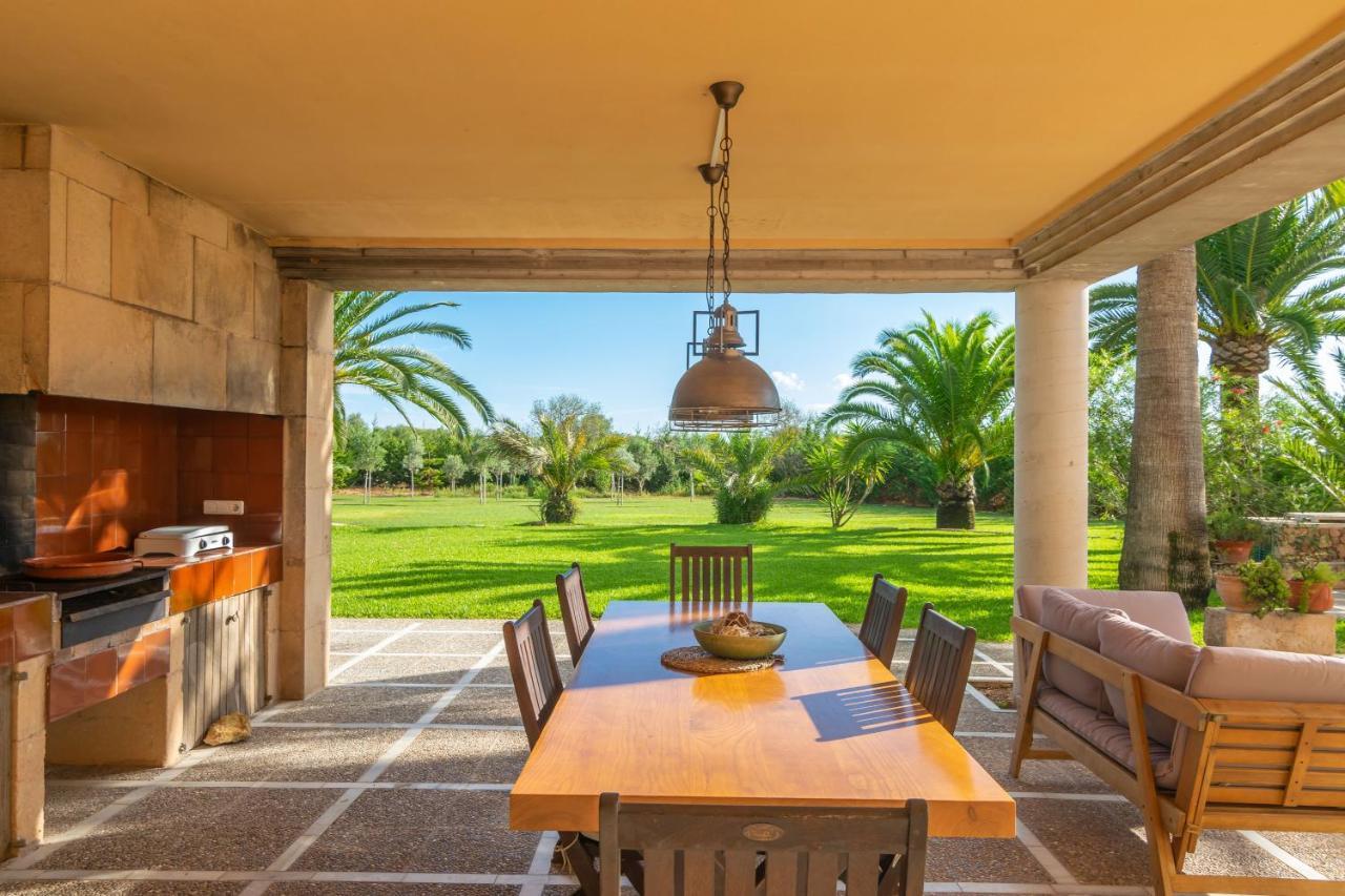 Finca Palmera Villa